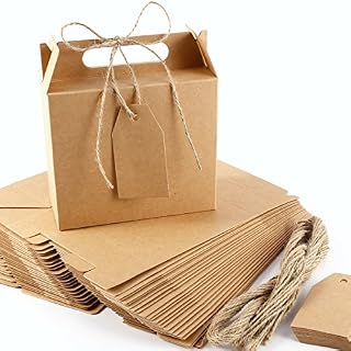 25 Brown Kraft Paper Party Treat Weddings Favour Gift Boxes Plain Loot Goodie Gable Bags Creative Boxes Jute Ribbon n Tags
