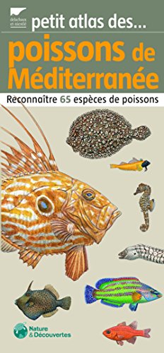 Poissons de Méditerranée: Reconnaître 65 espèces de poissons