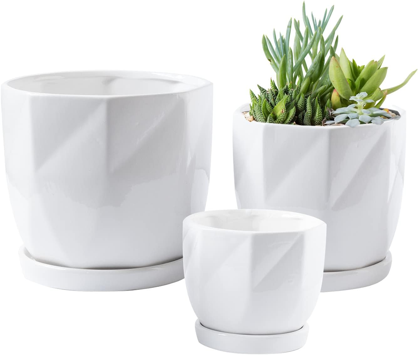 Royal Imports Ceramic Planter, Decorative Plant Pot Flower Vase for Indoor Outdoor Garden, Porch, Home with Saucer/Drip Tray and Drainage Hole, Great for Succulents, Cactus, Bamboo - White, Set of 3
