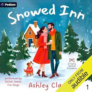 Snowed Inn cover art