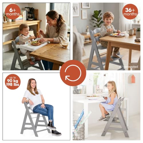 Image of hauck Alpha+ Grow Along Booster High Chair with White Tray Table, Grey