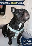 ARING PET Hundehalfter Geschirr, Samt kein Ziehen Hundehalfter Geschirr, einstellbare schwere Hundegeschirr für kleine mittlere große Hunde