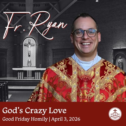 652. Fr. Ryan Homily - God's Crazy Love