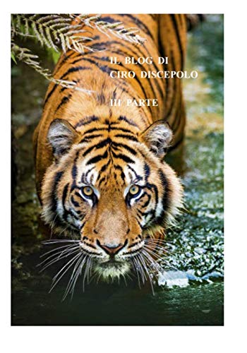 Il Blog di Ciro Discepolo III Parte