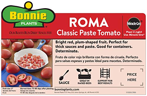 Bonnie Plants Tomato Sampler (4-Pack), Live Plants, Four Ideal Starter Varieties, Excellent Flavor & Productivity - Thumbnail 4