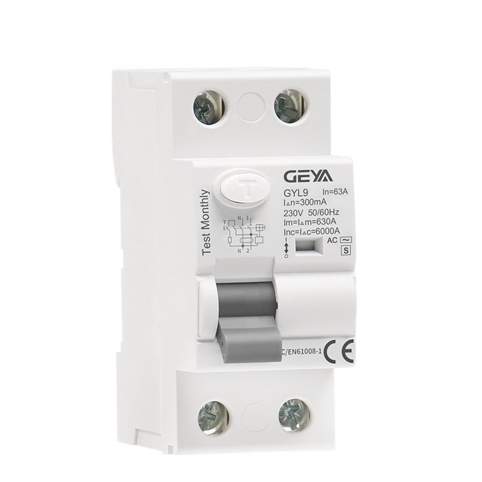 RCGKNNMUZ GYL9 AC-S Type Time Delayed RCD RCCB ELCB Delay Type Electromagnetic Circuit Breaker(100mA,AC-S 2P 40A)