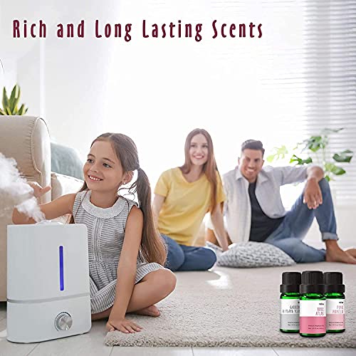 Ladies Fragrance Oils, Mitflor 12 Bottles Premium Scented Oils For Diffuser, Men's Club, Soap, Candle Making, Spice Bomb, Leather, Sweet, Gardenia & Ylang Ylang, Aromatherapy Oils Gift Sets #TOP5