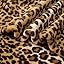 01 Brown Leopard