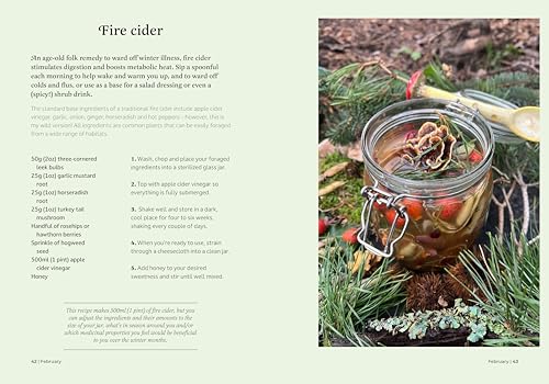 The Forager's Almanac: A year of sustainable foraging, wildcraft and recipes - Image 2