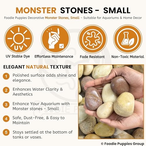 Image of Foodie Puppies River Rocks Natural Multicolour Stones - (Small Monster - 2Kg) (3cm - 5cm) for Aquarium /Fish Tank, Painting, DIY, Arts, Crafts, Home Decoration, Garden, and Swimming Pool