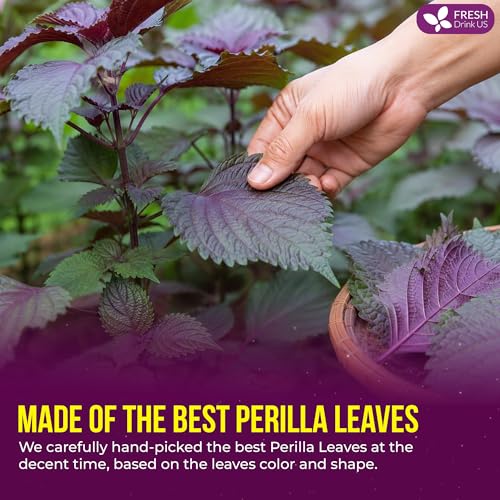 Image of FreshDrinkUS, Premium 8oz Perilla Leaf Powder, 100% Natural & Pure, Herbal Tea, Daily Infusion Botanical, No Sugar, No Caffeine, No Gluten, Vegan. Rich in Antioxidants.