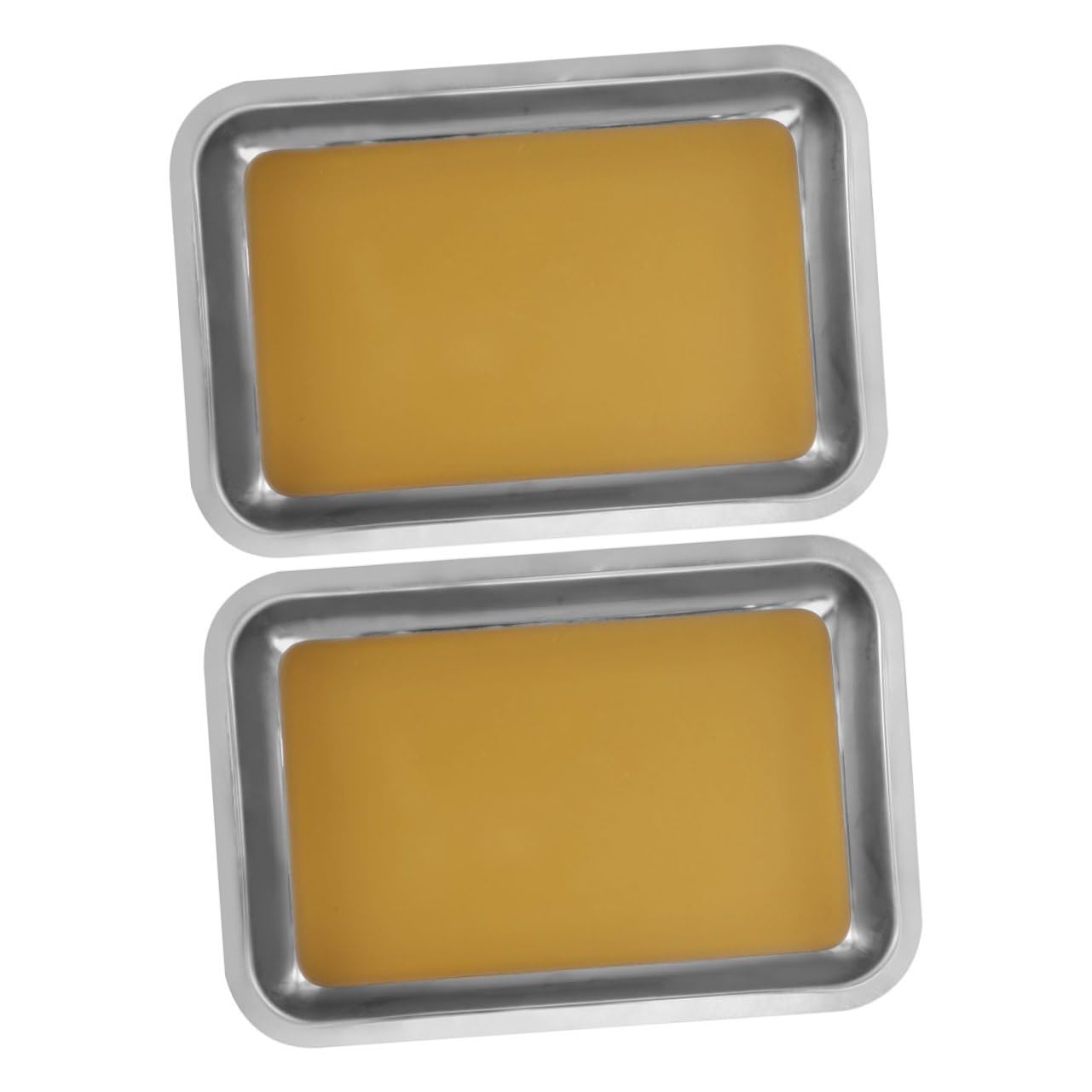 2 Pcs Plateau de Dissection en Acier Inoxydable Kit de Dissection Scientifique Doublé de Cire pour Étudiants et Enseignants en Laboratoire