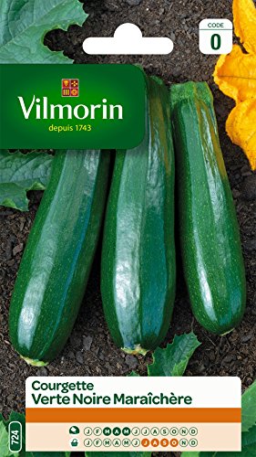 Vilmorin 3484440 Courgette Verte noire maraîchère