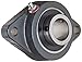 Browning VF2S-320 Medium-Duty Flange Unit, 2 Bolt, Setscrew Lock, Regreasable, Contact and Flinger Seal, Cast Iron, Inch, 1-1/4" Bore, 5-1/8" Bolt Hole Spacing Width, 6-1/8" Overall Width
