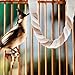 Milisten Bird Toy Pack Soft Bendable Bird Perch Climbing Rope Parrot Perch for Parakeets Cockatiels Lovebirds Cage Accessories