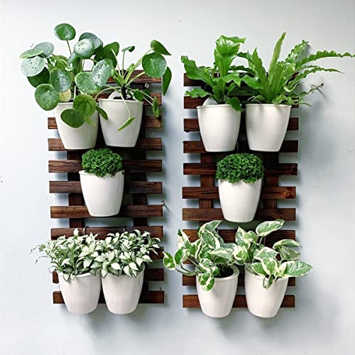 Lalagreen Wall Planters For Indoor Plants - 10 Pack, 4 Inch Self Watering Plastic Planters And Pots, White Wall Mount Plant Holder, Modern Hydroponic Wall Pot Vertical System Living Plant Wall Garden #TOP5