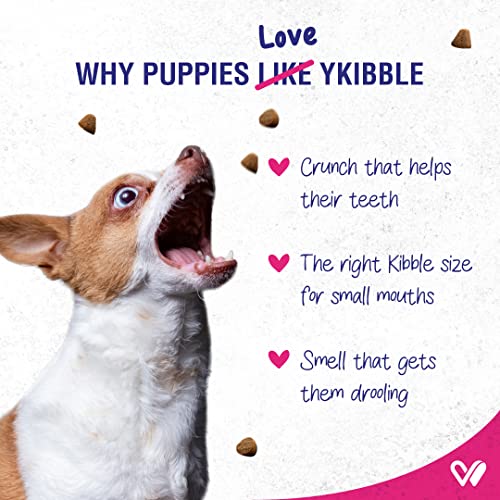 Image of WIGGLES Ykibble Puppy Food Dry Small Dogs Starter, 900 gm, 1-12 Months - Oven Baked Nutritionally Balanced Pet Food - Chicken, Vegetables, Vitamins & Minerals