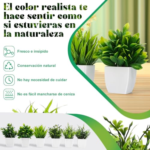 La mejor comparación de Mini macetas decorativas para comprar hoy. 27 Imagen adicional