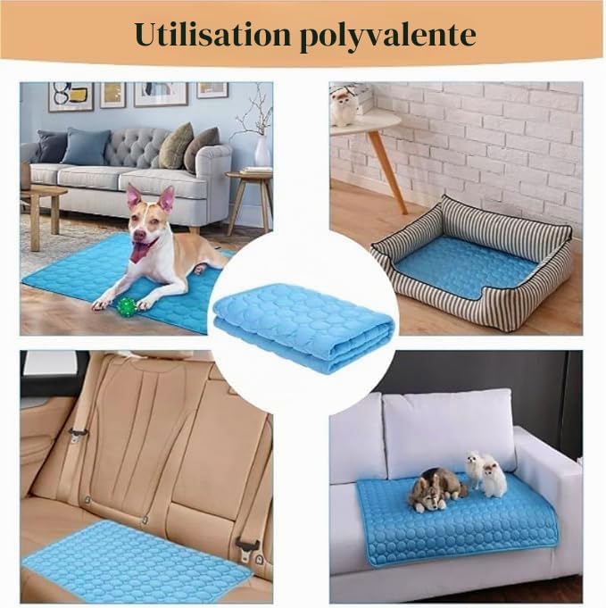CroqPatte Croq’Fresh - Le Tapis Rafraîchissant L'été Tapis Frais Et Durable pour Chien Chats (Bleu,XXL-150X100cm)