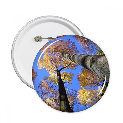 Cadeau 5pcs feuilles rouges pins badge bouton esthétique pour amateurs de sciences de la nature