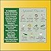 Shan Malay Chicken Biryani Seasoning Mix (60g) - Authentic Indian Biryani Flavor, Premium Spice Blend for Chicken Layered Pilaf, Turmeric, Chili Powder, Garlic Seasoning