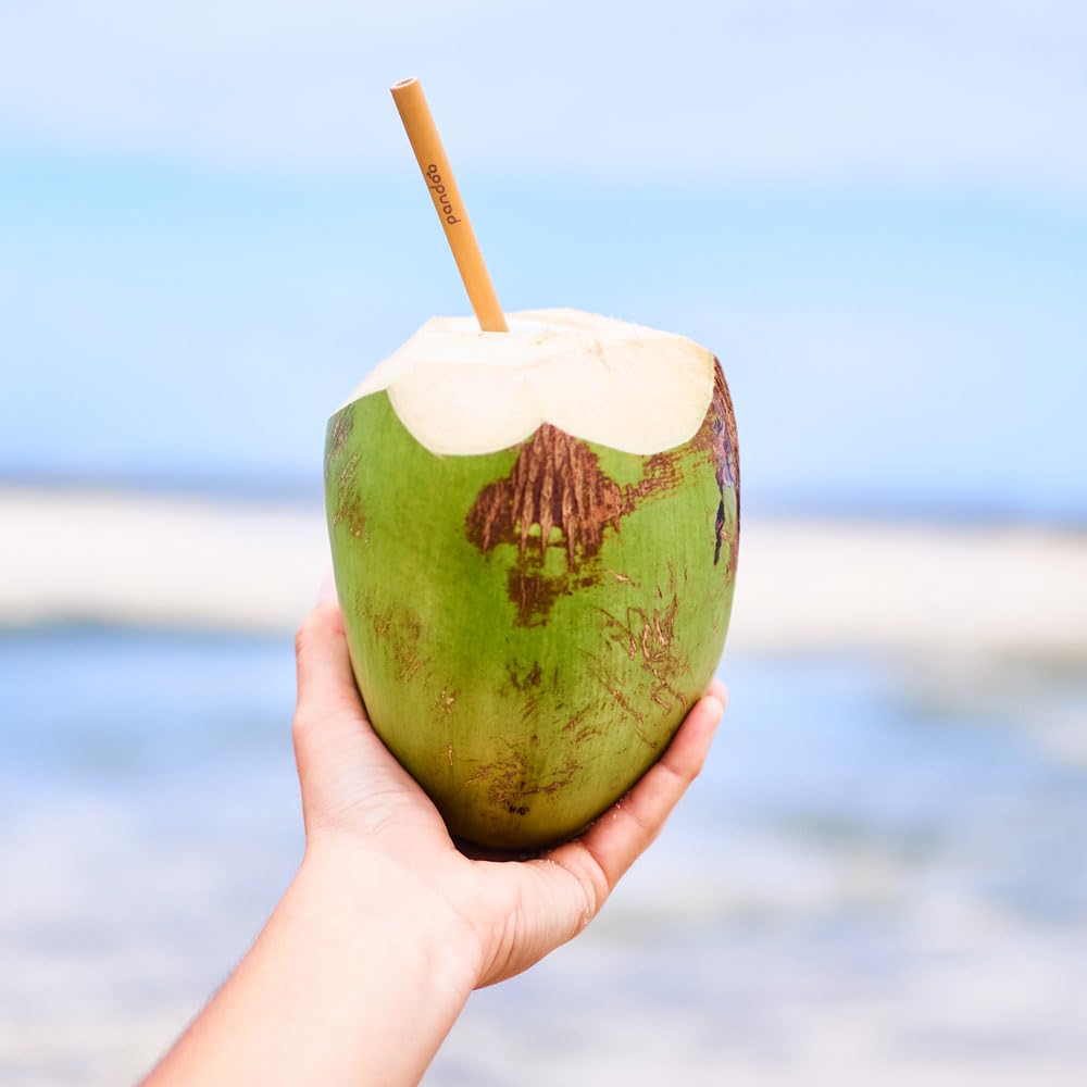 pandoo wiederverwendbare Strohhalme aus 100% Bambus inklusive  Reinigungsbrste (12 Stck) | Waschbare & Umweltfreundliche Trinkhalme |  100% biologisch abbaubar | Eco Bamboo Straws Natur : Amazon.de: Kche,  Haushalt & Wohnen