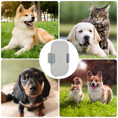 Nagelfeile, Hund Katzen Nagelfeile Board, Pfotenpflege, Hohe Qualität Krallenfeile, für Haustiere Hunde Katzen, Grau