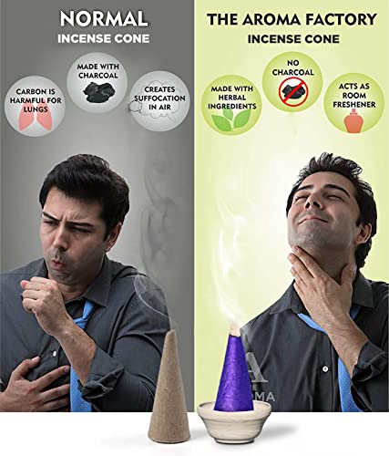 Image of The Aroma Factory Incense Dhoop Cone for Pooja, Lavender (100% Herbal & 0% Charcoal) 1 Bottle x 30 Cones