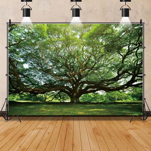 Mestiker 7x5ft Huge Tree Birthday Backdrop Spring Nature Forest Scenery Birthday Party Photography...