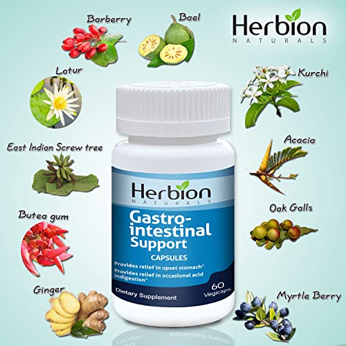 Herbion Naturals Gastro-intestinal Support Herbal Blend for Upset Stomach Relief, Gastrointestinal Health and Function, Occasional Acid Indigestion, Healthy Intestinal Flora, 60 Vegicaps - Image 6