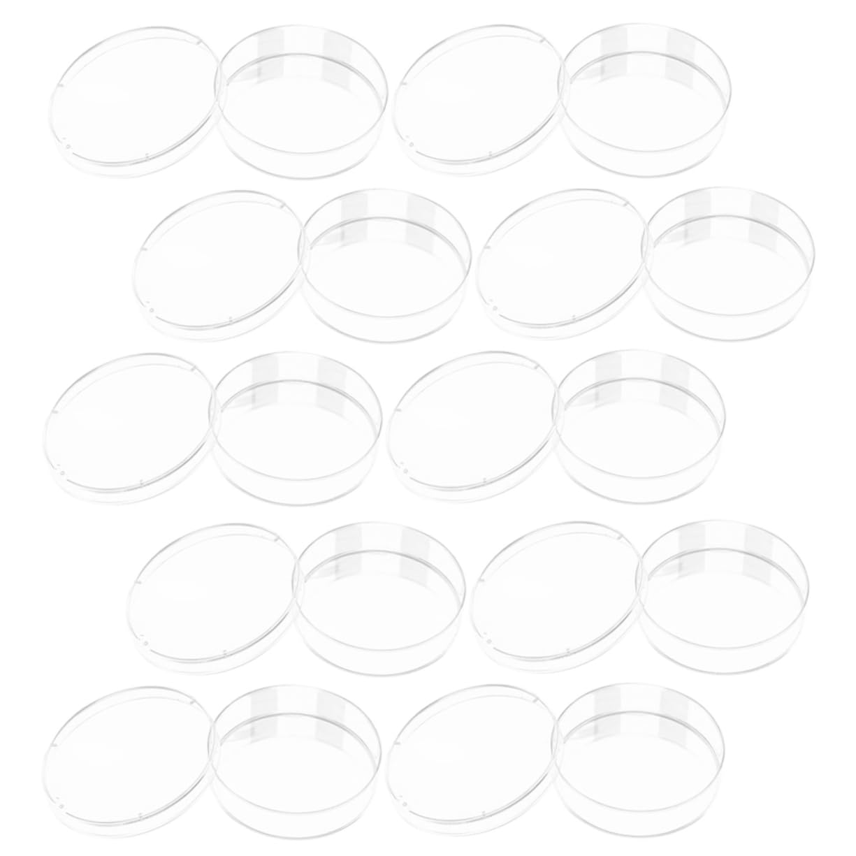 Gatuida 40pezzi Piastra Di Coltura Trasparente Con Coperchio Per Esperimenti Scientifici e Analisi Laboratorio Materiale Plastico Resistente e Pratico