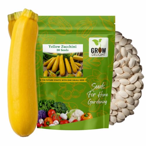 Image of Yellow Zucchini 20+ Vegetable Seeds for Home Garden