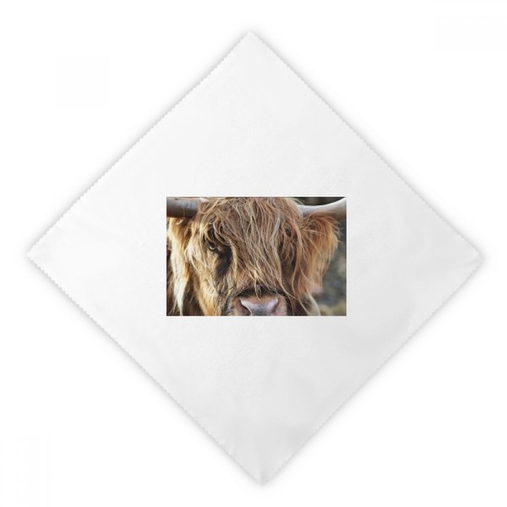 Servilletas de tela reutilizables lavables blancas con motivo de animal salvaje, 2 piezas