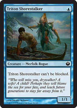 Magic The Gathering - Triton Shorestalker (56/165) - Journey into Nyx