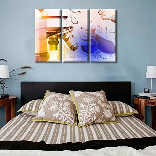 Image of TUMOVO Canvas Wall Art Medical Examination Poster Canvas Paintings Wall Art 3 Panel Medical Wall Decor for Living Room, Bedroom, Bathroom, Office. Framed Ready to Hang (36 inch Wx24 H)