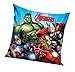 PawPatrol Nickelodoen Kinder Baby Kissenbezug beidseitig Bedruckt ohne Füllung – wählbar: Spiderman Batman Star Wars Avengers Transformers Superman - 40x40cm (Marvel Avengers AC)