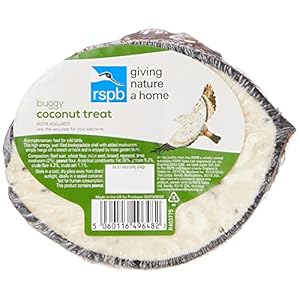 RSPB Wild Bird Coconut Treats with Mealworms, 275 Grams, A Bird Food!!!, Filled in The UK, Supporting The RSPB Charity, Easy to Hang