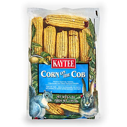 Kaytee Corn On A Cob 6.5 Pounds