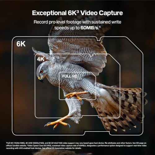Image of SANDISK 512GB Extreme PRO SD Memory Card, Up to 300MB /s Read Speeds, UHS-II
