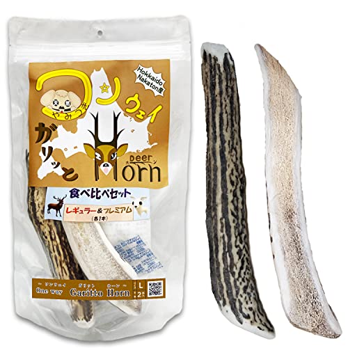 +One way y߂Ắz̊p Hה L ({Ɣ2{)p  sKb z[M[v~At (kTCYi^pj)