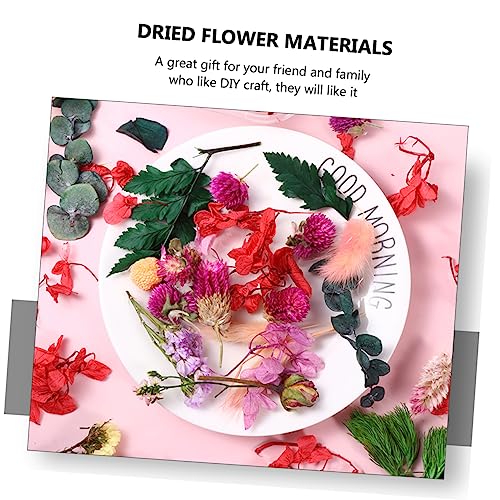 Flores secas decorativas para manualidades DIY miniatura 6