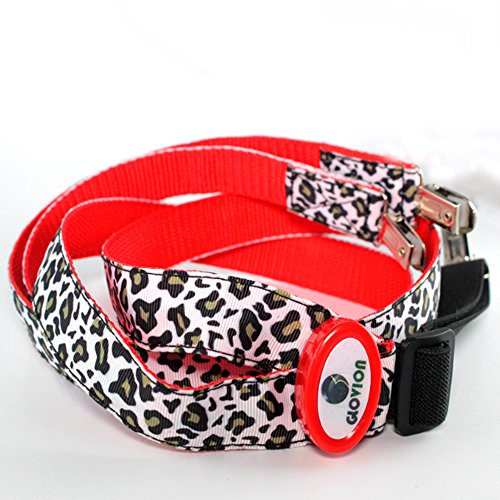 Glovion Leopard Point Style Colorful 12 Leds Light Up Suspender For Party And Safety Use (Red) #TOP4