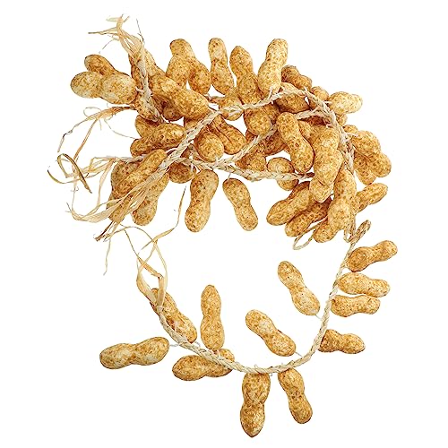 PRETYZOOM 5Pcs Realistic Fake Peanut String Models Decorative Photo Props for Home Restaurant and Classroom Use Lifelike Simulation for Unique Photography and Teaching