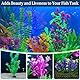 27 Stück Plastikpflanzen Dekoration Fuer Aquarium PVC KüNstliche Aquarium Deko Bunt KüNstliche Wasserpflanzen Geeignet für die Dekoration Von Wassertanks zu Hause und Im Büro