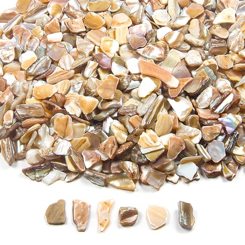 Featuman Natural Crushed Shells Chips Irregular, White Sea Shells for Crafting, 14.5 oz Crushed Seashells Pieces Chips, Small Shells Bulk for Decoration, Weddings Party, Succulent Plants, Wall Art