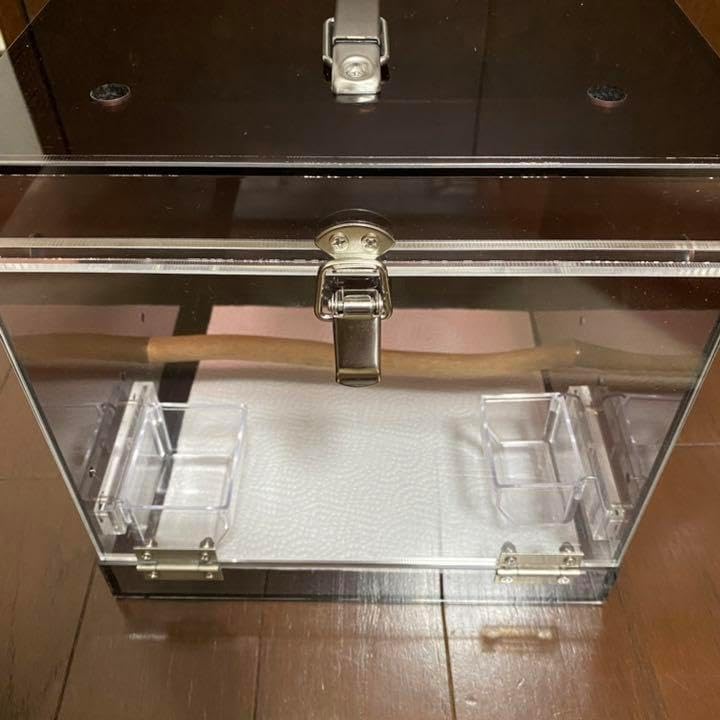 中国工芸品】鍍金絹龍船置物 波紋台付 【公式通販】