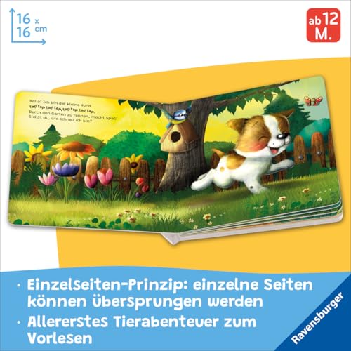 'Hallo, hier bin ich!', ruft der kleine Hund: Meine allererste Tiergeschichte - Erstes Vorlesen für Kinder ab 1 Jahr