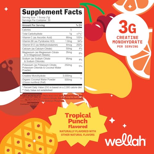Image of Wellah Creatine + Electrolytes Powder (Fruit Punch) 30 Servings - Hydration Drink Mix with 3g of Creatine Monohydrate