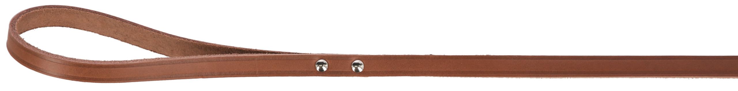 Leash Mexica, taupe, 100 cm x 12 mm - Image 2