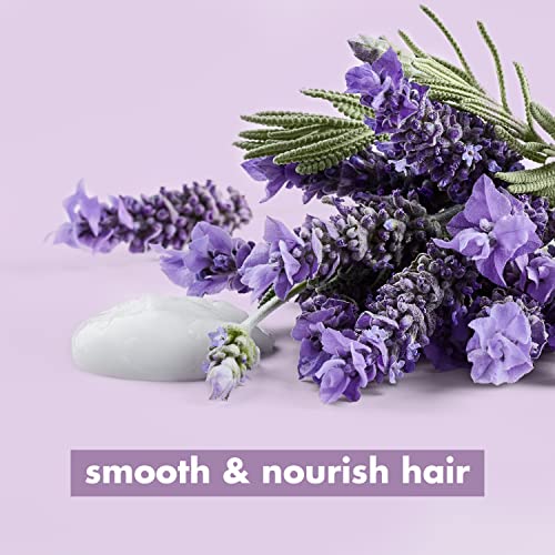 Love Beauty And Planet Smooth & Serene 100% Biodegradable Conditioner Moisture Conditioner For Frizz Control Argan Oil & Lavender Vegan Conditioner 0% Silicones, Parabens, And Dyes 13.5 Oz #TOP5